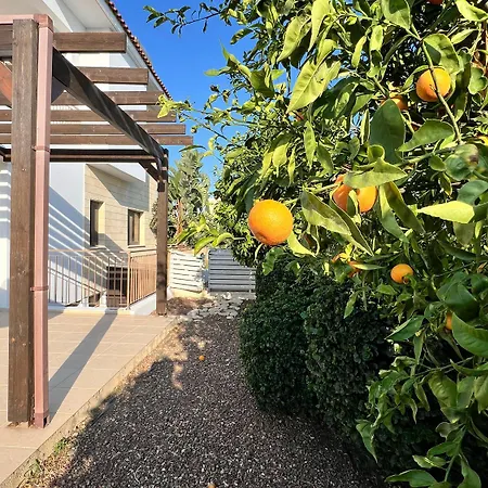 Villa Aris Agios Theodoros Extérieur photo