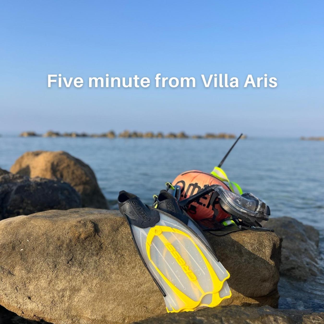 Aris Villa